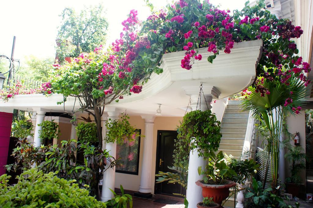 Sirohi House